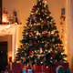 X-Mas Somnia