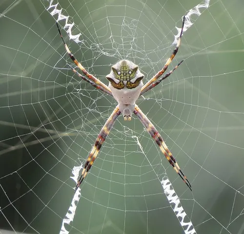 Epic fantasy journey