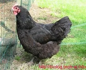 Underwater hotel experiences