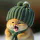 SOMcat