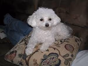 Cycling through landscapes