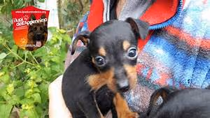 Capturing nature's beauty