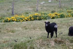 Mindfulness meditation practice