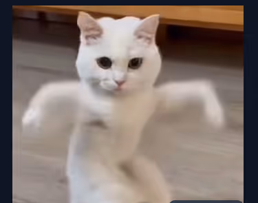 CATMEME
