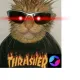 Cat Star