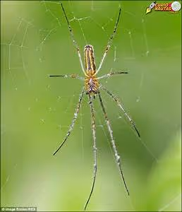 Frozen wilderness expeditions