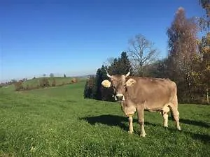 New beginnings embraced