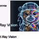 X-Ray Vision