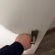 dsfsd