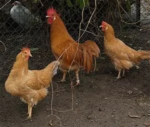 Mindfulness and meditation