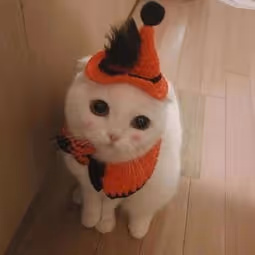 DFGHH