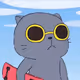  OptionCat