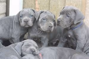 Luxurious outdoor experiences