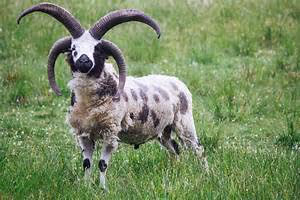 Sustainable solutions quest