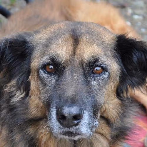 Bungee jumping adventures