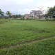 dongluavn