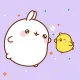Little chicken