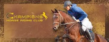 Biking through winding roads