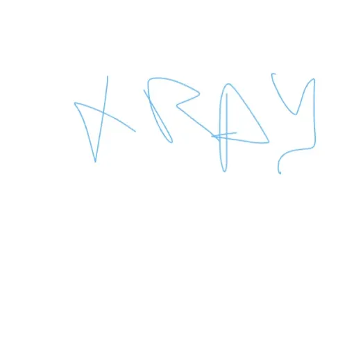 X RAY 