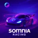 SomRaceCar