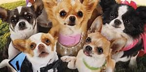 Financial literacy workshops