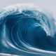The sea wave