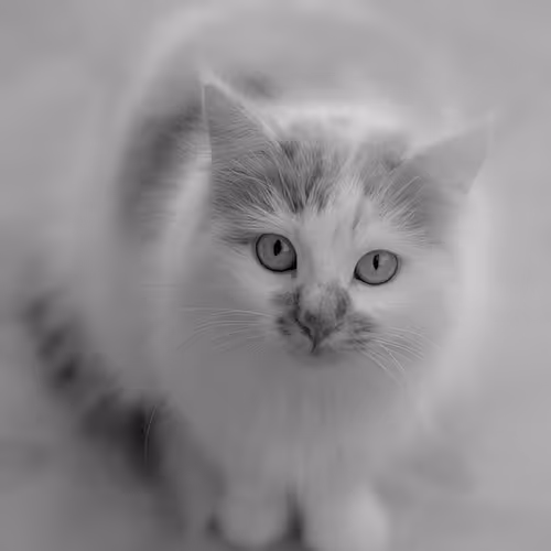 Innovations shaping tomorrow