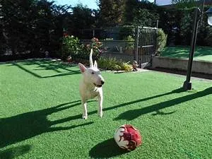 Empowering minds worldwide