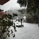 WinterWonderland