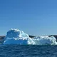 Iceberg