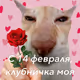 Xray