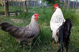 Underwater hotel experiences