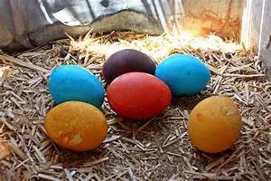 Mountaineering conquests