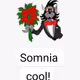 somrll