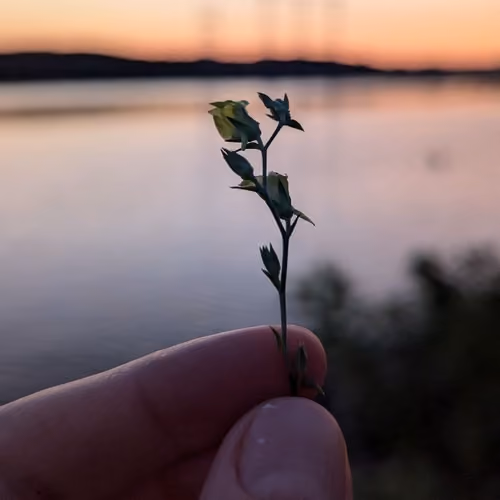 horizon