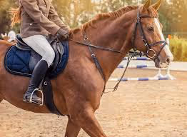 Elevated lodging retreats