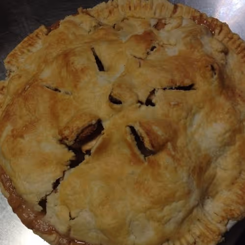 Train journeys across lands