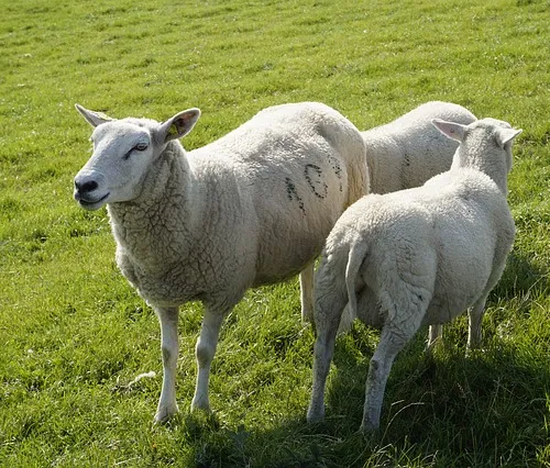 Lost civilization mysteries