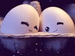 geng
