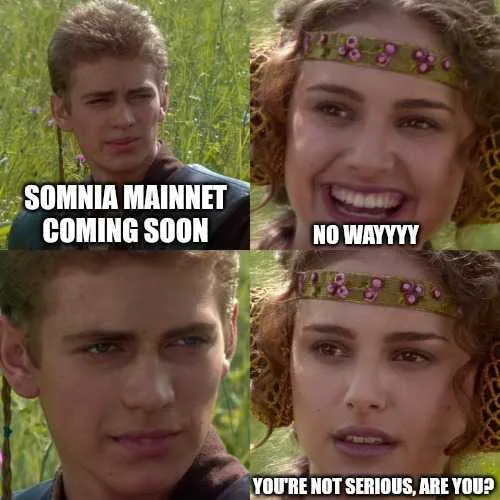 Somnia Memes