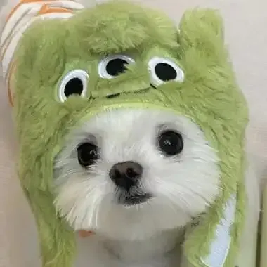 DRDRY