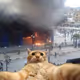 1321