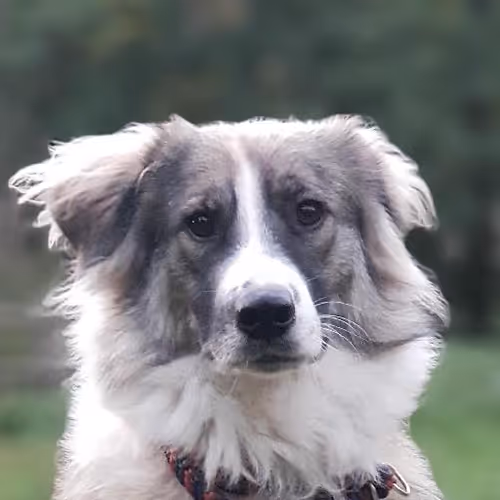 Sacred sites exploration