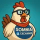 Somi chicken