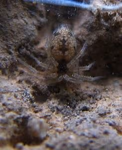 Underwater hotel experiences