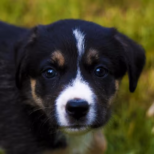 Team building retreats