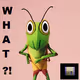 What?
