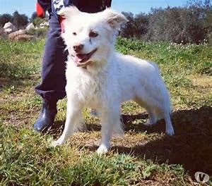 Inspiring artistic endeavors