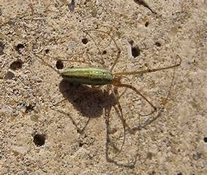 Creativity unleashed