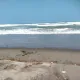 Laut selatan